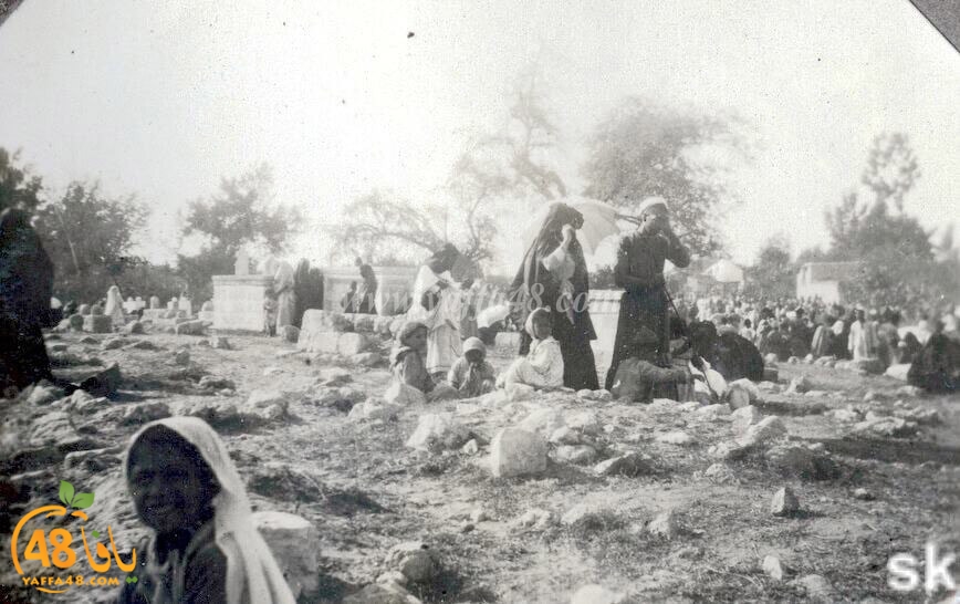 ludqjh13u1 (4).jpg.jpg